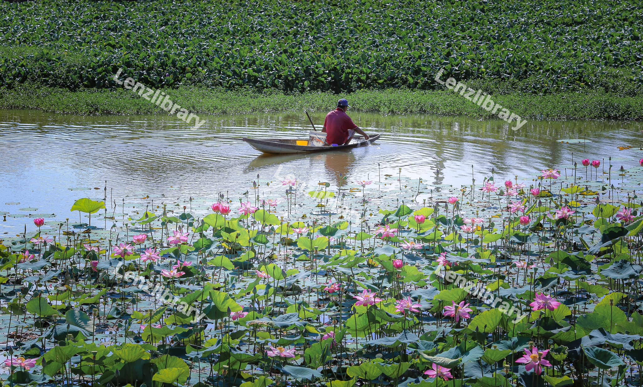 Man in a boat